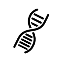 Czynniki genetyczne
